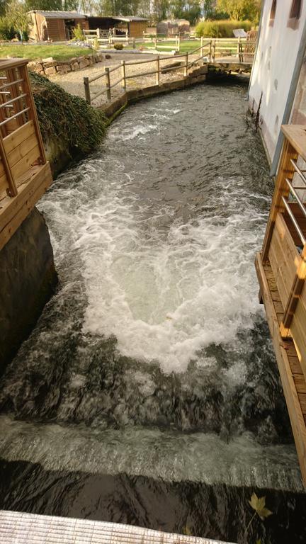 Le Moulin D'oscar & - Mulhouse Nord Aparthotel